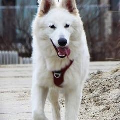 Profile Picture of Barbara (@barbaradevisscher) on Tiktok