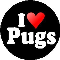 Profile Picture of Aimee Salter (@Aimeesalter7) on Twitter