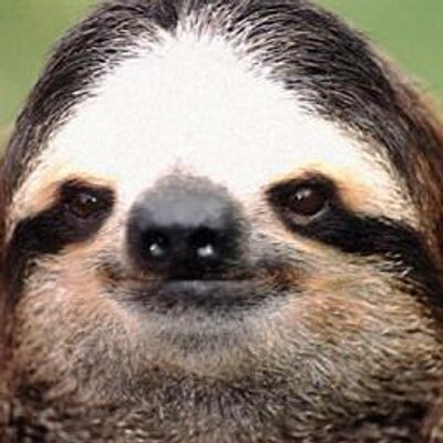 Profile Picture of Julio Velasquez (@momochitl) on Twitter