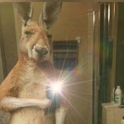 Profile Picture of Mushfiqur Rahman (@MushfiqurRahman-h3r) on Youtube