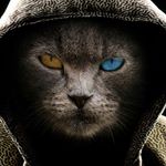 Profile Picture of James sparks (@james_sparks_0606) on Instagram