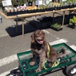 Profile Picture of Ava Graves (@laurelhurstleash) on Instagram