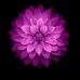 Profile Picture of Marc Heureux (@vivre.hereux) on Facebook