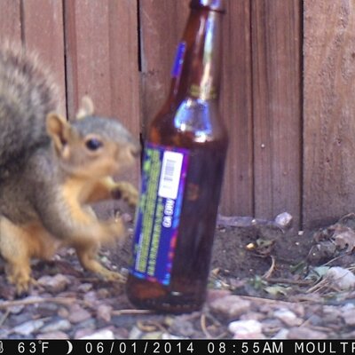Profile Picture of David Rosner (@CameraDaveMan) on Twitter