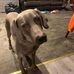 Profile Picture of Scott Hebert (@scott.hebert.589) on Facebook