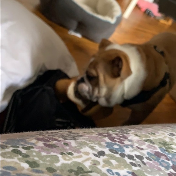 Profile Picture of Peter Glick (@thinpoop77) on Poshmark