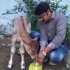 Profile Picture of gaurav singh (@@gaurav_singh_solanki) on Tiktok