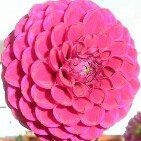 Profile Picture of Julie Loftus (@loftusjulie) on Instagram