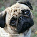 Profile Picture of daniel mazzie (@mazziedaniel) on Instagram