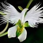 Profile Picture of José Juan (@josejuan7708) on Instagram