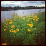 Profile Picture of Lisa Arcella (@passportandticketwithlisa) on Instagram