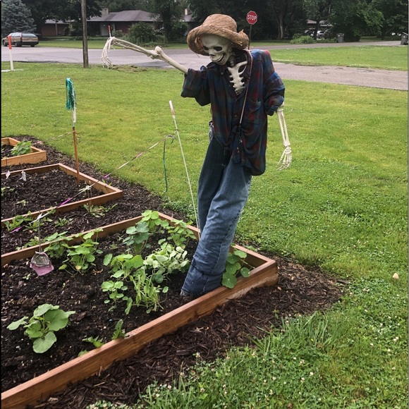 Profile Picture of Gail Galusky (@figglywig) on Poshmark