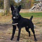 Profile Picture of Shayne Davidson (@Shayne-Davidson) on Facebook