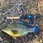 Profile Picture of Aaron Gleeson (@aaron_gleeson) on Instagram