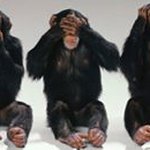 Mike Mulford - Instagram Profile Picture of Mike Mulford (@mulfordmike) on Instagram