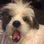 Profile Picture of David Youmans (@daveyboy.78) on Instagram