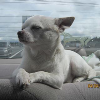 Profile Picture of Chico Cooley (@Chico-Cooley) on Facebook