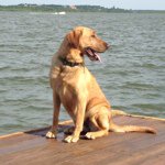 Keith Metzger - Instagram Profile Picture of Keith Metzger (@southpaw019) on Instagram