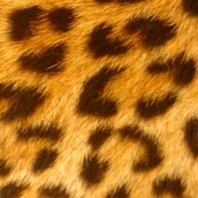 Profile Picture of Amanda Samples (@asamplex) on Twitter