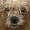 Profile Picture of Adam Bergeron (@todash) on Flickr