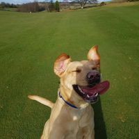 Profile Picture of Andrew Mcglashan (@andrew-mcglashan-3) on Quora