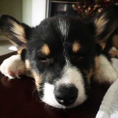 Profile Picture of Benjamin Button (@BENJAMINdotCORG) on Twitter