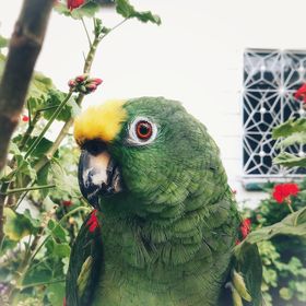 Profile Picture of Alejandro Rosero (@alejandrorosero) on Pinterest