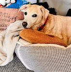 Edward Linchman - Facebook Profile Picture of Edward Linchman (@meleck.ejiogu) on Facebook