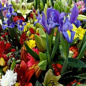 Profile Picture of Isaf Mel (@MelSchuster1) on Twitter