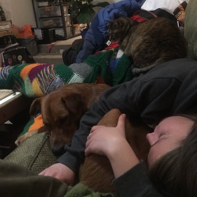 Profile Picture of Kelsey Pryor (@kelsey_pryor) on Twitter