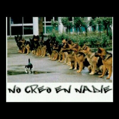 Profile Picture of Oscar Pinto Chang (@oscartupp2013) on Twitter