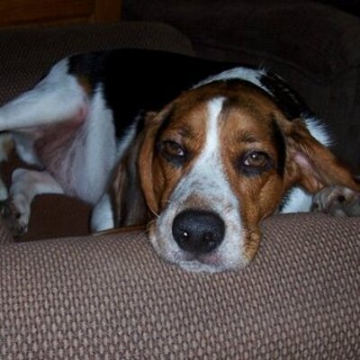 Profile Picture of Buddy Cannon (@agoodname22) on Twitter