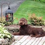 Profile Picture of Jim Cichon (@cichon.jim) on Instagram
