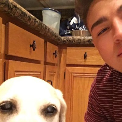 Profile Picture of Andrew Palma (@AndrewPalma6) on Twitter