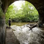 Profile Picture of Brandon Grubb (@brandon.grubb.94) on Facebook