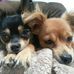 Profile Picture of Terrie Mohlman (@terrie.mohlman) on Facebook