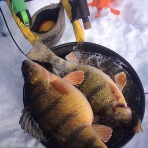 Profile Picture of Derrick (@Buddy3619) on Twitter