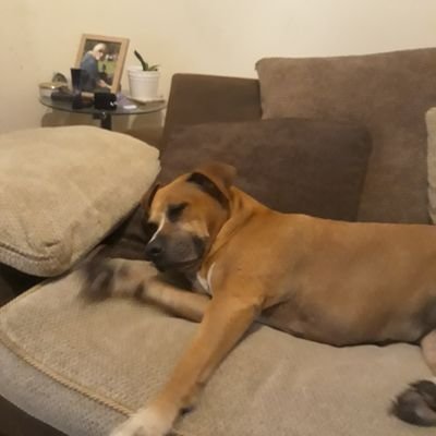 Profile Picture of Mark Marriott (@MarkMarriott19) on Twitter