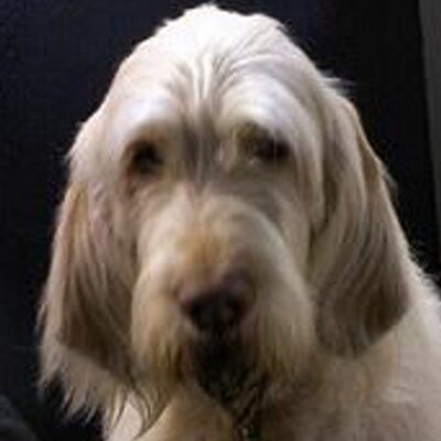 Profile Picture of Doug Larson (@beadstuff) on Twitter