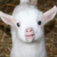 Profile Picture of Brianna Kropp (@brianna-kropp-5) on Quora