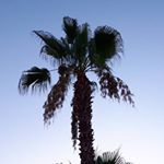 Anna - Instagram Profile Picture of Anna (@anna.poelzl) on Instagram