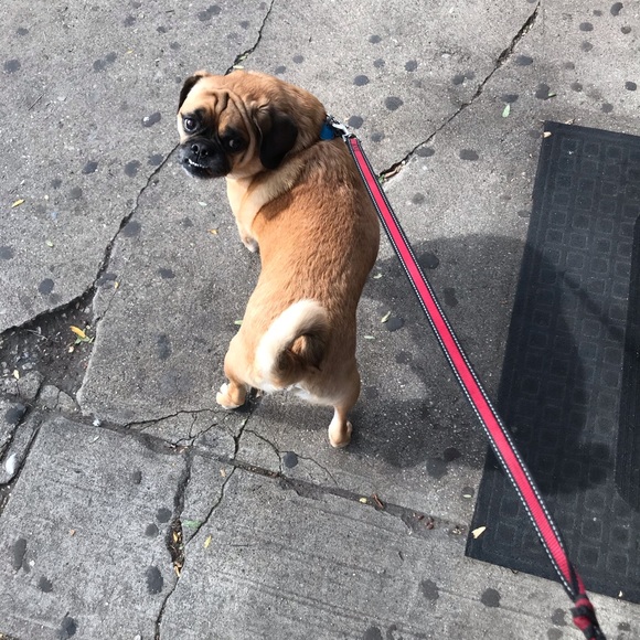 Profile Picture of David Mendoza (@davidmendoza10) on Poshmark