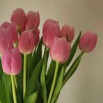 Profile Picture of Julia Rosier (@Julia-Rosier) on Facebook