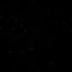 Profile Picture of Leonard Malep Ma'a Ntamack (@leonard.malep) on Facebook