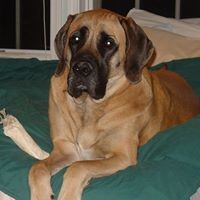 Profile Picture of Renee Bock (@renee-bock-2) on Quora