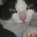 Profile Picture of Darryl Stevenson (@darryl.stevenson.505) on Facebook