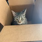 Profile Picture of Caleb C. (@calebcannonphoto) on Instagram