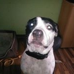 Profile Picture of thomas (@th.pahl) on Instagram