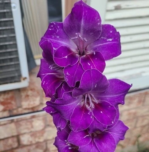 Profile Picture of Mayte Ramirez soto (@maytermz02) on Poshmark