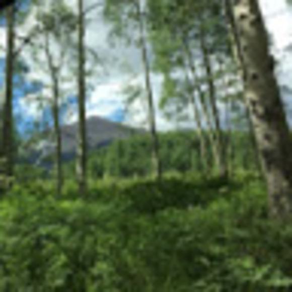 Profile Picture of Caleb Haase (@caleb_haase) on Poshmark